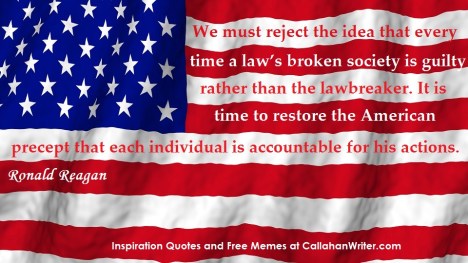 law_broken_meme_flag