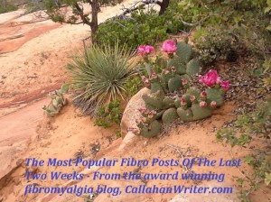 most_popular_posts_of_the_last_two_weeks