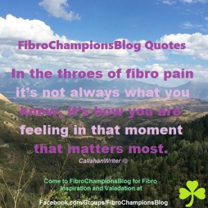 fibrochampionsblog_4