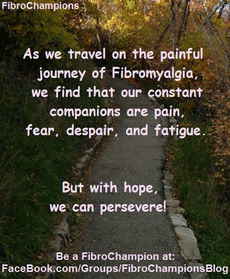 fibro_journey